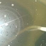 CUVE_EAUX_DE_PLUIE 150X150 | CVE SARL Entretien des cuves d’eau de pluie Audincourt 1