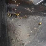 CUVE_EAUX_DE_PLUIE2 150X150 | CVE SARL Entretien des cuves d’eau de pluie Wittenheim 0